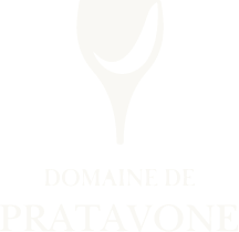 Domaine Pratavone logo
